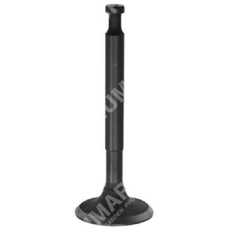 Intake valve for DUCAR motor pumps - 038568 | Newgardenstore.eu