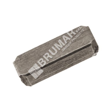 Key for BRIGGS & STRATTON engines 222698S - 020212 | Newgardenstore.eu