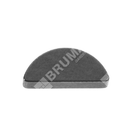 Chiavetta per motori BRIGGS & STRATTON Compatibile - 000251 | Newgardenstore.eu