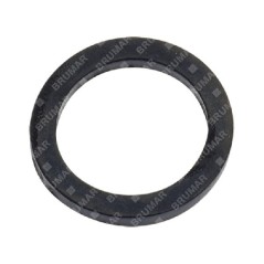 Guarnizione attacco tubo/lancia ASP2515 Compatibile - 056791 | Newgardenstore.eu