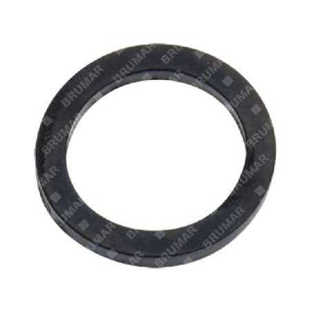 Guarnizione attacco tubo/lancia ASP2515 Compatibile - 056791 | Newgardenstore.eu