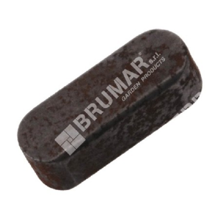 Key for MAORI snow blower - 051237 | Newgardenstore.eu
