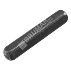 Clé de tondeuse à gazon DAYE - Compatible DAYEE DY0701.31 - 027811 | Newgardenstore.eu