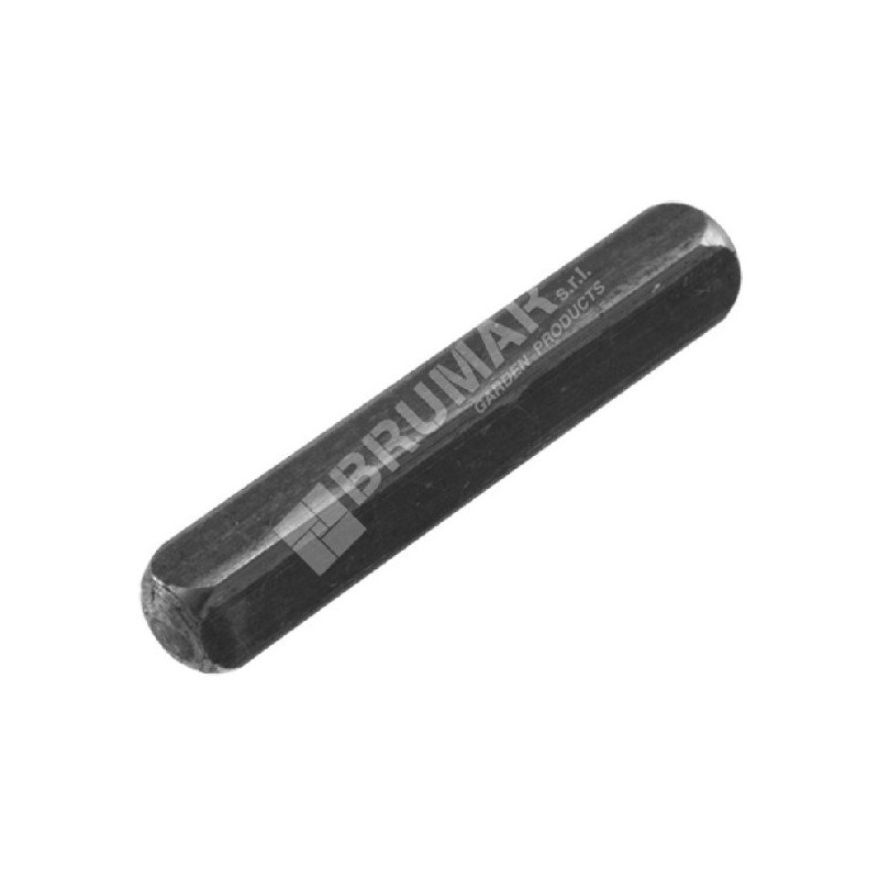 Llave para cortacésped DAYE - Compatible con DAYEE DY0701.31 - 027811