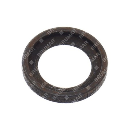 ASIA-CHINA Kolbenbolzenscheibe - 038811 | Newgardenstore.eu
