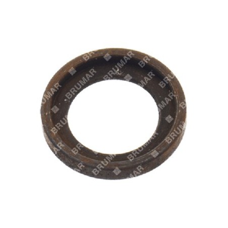 ASIA-CHINA Kolbenbolzenscheibe - 038803 | Newgardenstore.eu