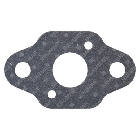 Joint carburateur PG260MP - 057716 | Newgardenstore.eu