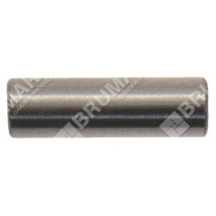 Pasador de pistón de 3 mm de diámetro para sopladores GREEN LINE - 015261 | Newgardenstore.eu
