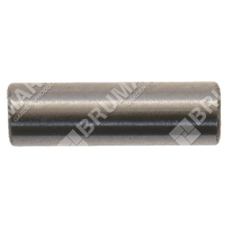 Pasador de pistón de 3 mm de diámetro para sopladores GREEN LINE - 015261 | Newgardenstore.eu