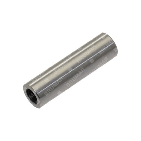 Axe de piston diamètre 10 mm pour motobineuse BLX - 054774 | Newgardenstore.eu