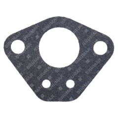 Guarnizione carburatore GL62WN Compatibile - 057373 | Newgardenstore.eu