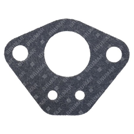 Guarnizione carburatore GL62WN Compatibile - 057373 | Newgardenstore.eu
