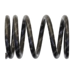 Molla valvole per motogeneratori DUCAR Compatibile - 056623 | Newgardenstore.eu