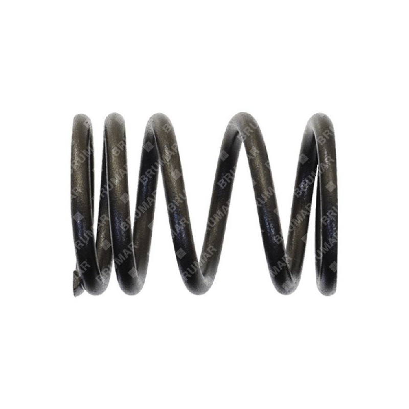 Molla valvole per motogeneratori DUCAR Compatibile - 056623