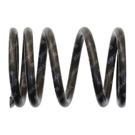 Ressort de soupape pour moteurs-générateurs DUCAR - 056623 | Newgardenstore.eu