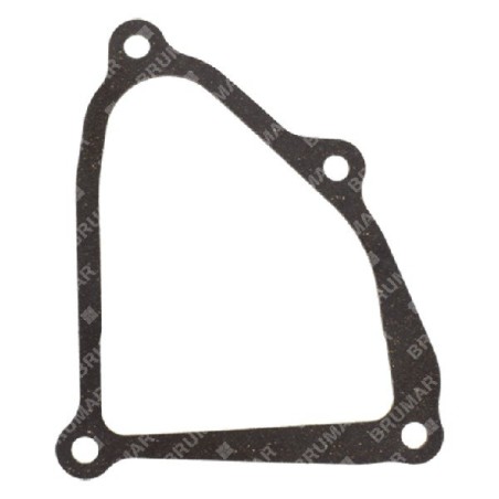 BLX valve cover gasket - 054559 | Newgardenstore.eu