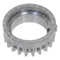 Pignon de vilebrequin pour moteurs et tondeuses DUCAR 479901 - 055559