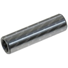 Axe de piston pour motobineuse BLX - 057312 | Newgardenstore.eu