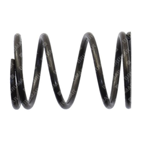 Resorte de válvula BLX - 054554 | Newgardenstore.eu