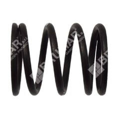 Muelle de válvula para motobombas DUCAR - 049582 | Newgardenstore.eu