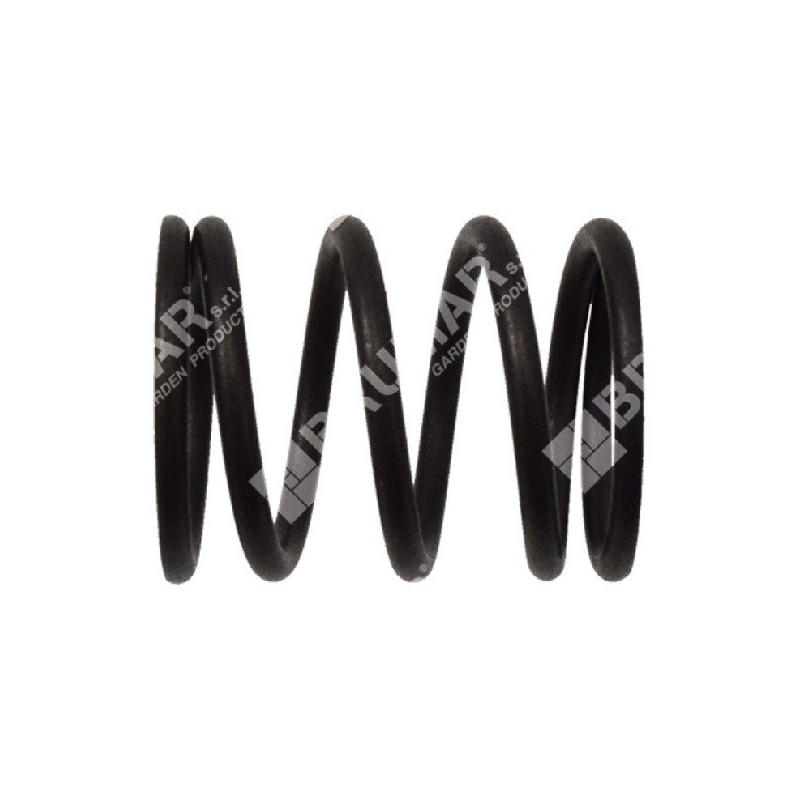 Molla valvola valvole per motopompe DUCAR Compatibile - 049582