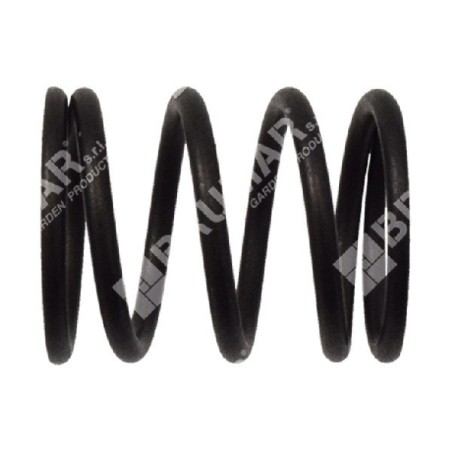 Ressort de soupape pour motopompes DUCAR - 049582 | Newgardenstore.eu