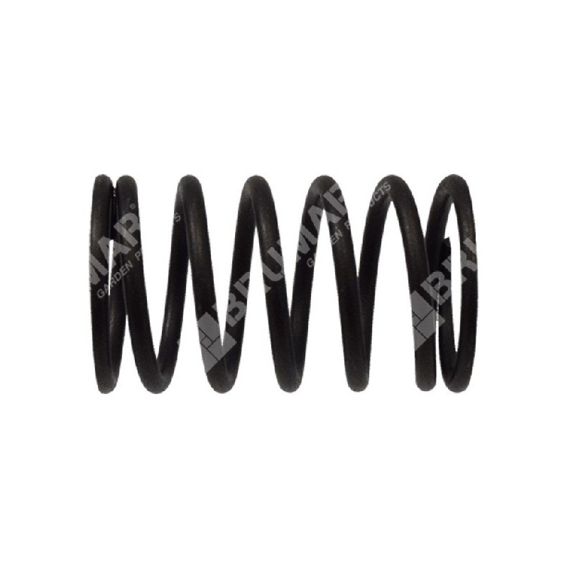Ressort de soupape pour moteurs LONCIN - 049045