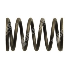 Muelle de válvula para motobombas DUCAR - 038571 | Newgardenstore.eu