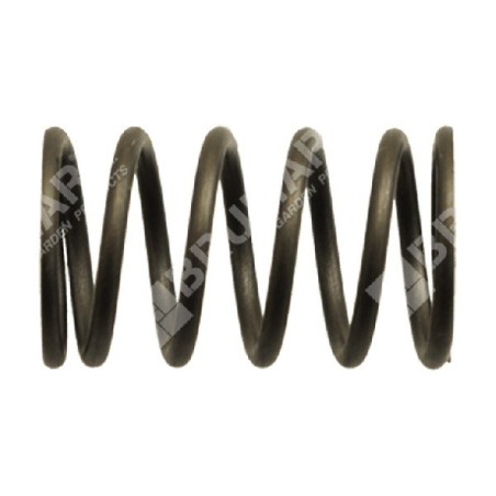Muelle de válvula para motobombas DUCAR - 038571 | Newgardenstore.eu