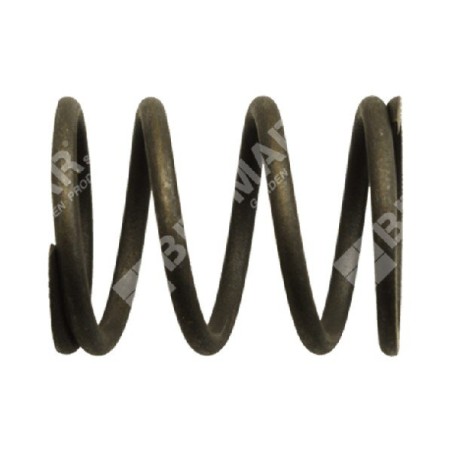 Ressort de soupape pour moteurs-générateurs DUCAR - 038481 | Newgardenstore.eu