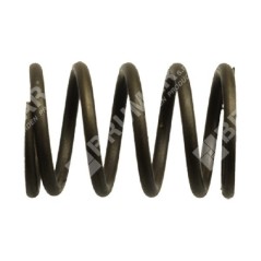 Ressort de soupape pour moteurs-générateurs DUCAR - 038443 | Newgardenstore.eu