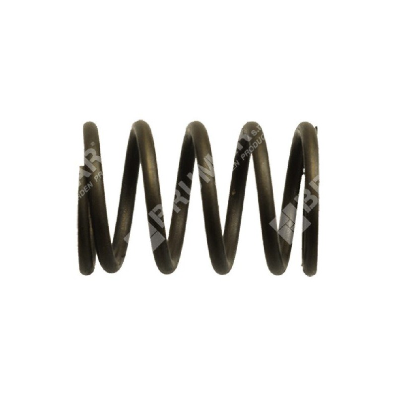 Molla valvole per motogeneratori DUCAR Compatibile - 038443