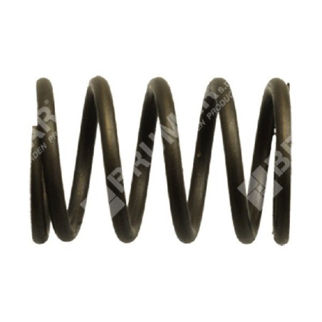 Muelle de válvula para motogeneradores DUCAR - 038443 | Newgardenstore.eu