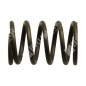 Muelle de válvula para motogeneradores DUCAR - 038443