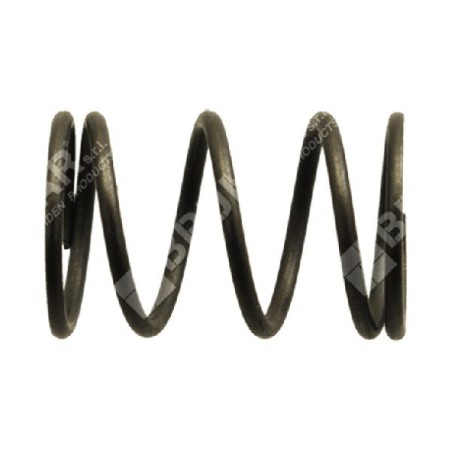 Molla valvole per motopompe e motogeneratori DUCAR Compatibile - 038091 | Newgardenstore.eu