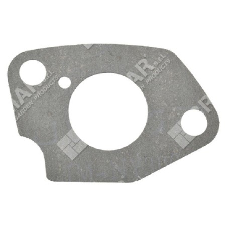 Joint de carburateur pour motopompes DUCAR 96066 - 047356 | Newgardenstore.eu