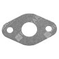 Carburetor gasket for GREEN LINE hedge trimmers - 038353