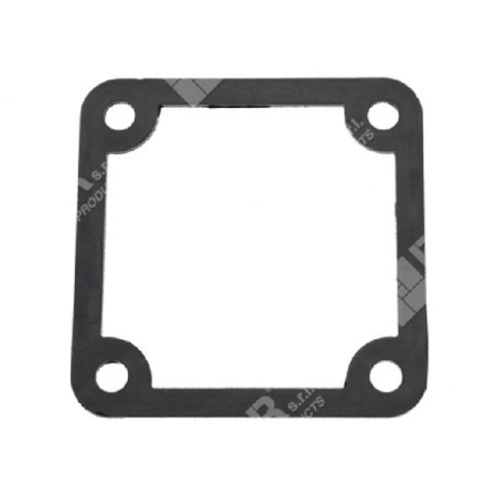 Curved fitting gasket for MAORI motor pumps - 027510 | Newgardenstore.eu