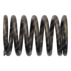 Molla valvole per motogeneratori DUCAR Compatibile - 038222 | Newgardenstore.eu