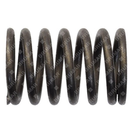 Ressort de soupape pour moteurs-générateurs DUCAR - 038222 | Newgardenstore.eu