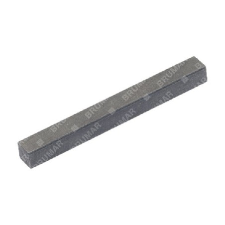 Key for MAORI snow blower - 054459 | Newgardenstore.eu