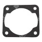 Cylinder gasket for GREEN LINE blowers - 030292