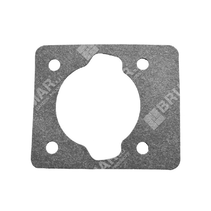 Cylinder gasket for GREEN LINE hedge trimmers - 038369