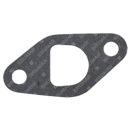 BLX engine side manifold gasket - 054578 | Newgardenstore.eu