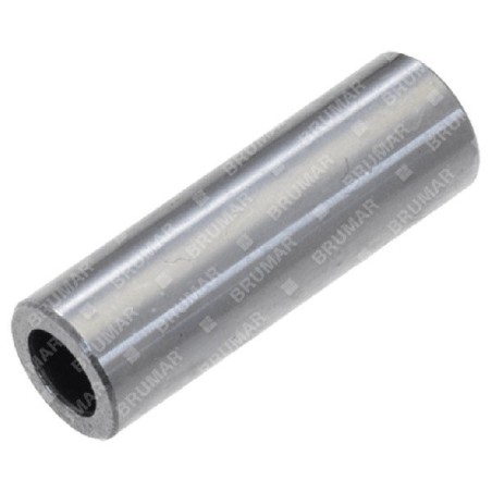 Pasador de pistón diámetro 10 mm para desbrozadoras GREEN LINE - 030824 | Newgardenstore.eu