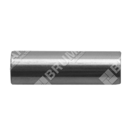Pasador de pistón de 8 mm de diámetro para sopladores GREEN LINE - 023067 | Newgardenstore.eu
