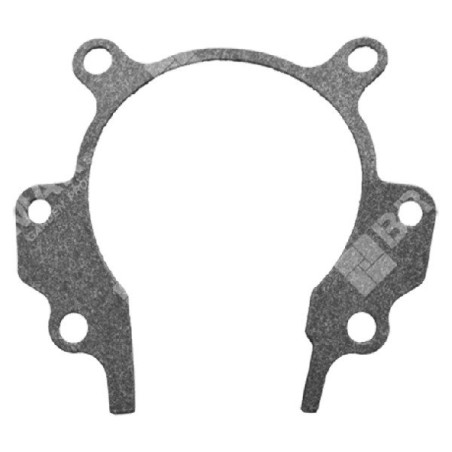 Junta cárter motor para desbrozadoras GREEN LINE - 047017 | Newgardenstore.eu