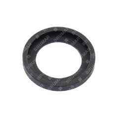 Arandela de pasador de pistón ASIA-CHINA - 013191 | Newgardenstore.eu