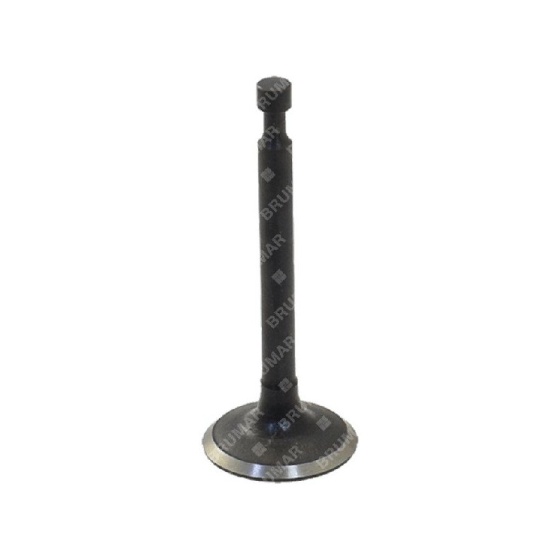 Intake valve for HARRY aerators - 058593