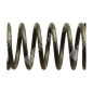 Ventilfeder für KAWASAKI-Motoren - 017477